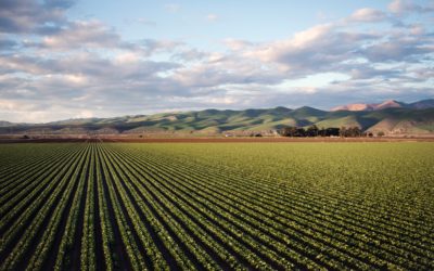 Pourquoi recruter un saisonnier agricole étranger?